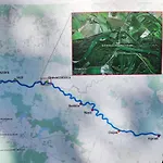 Era Harmonia Lakosztaly *