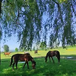 Era Harmonia Lakosztaly 公寓 哈卡尼